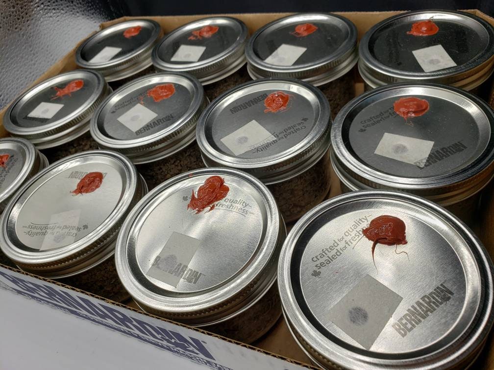 PFtek Jars - Case of 12