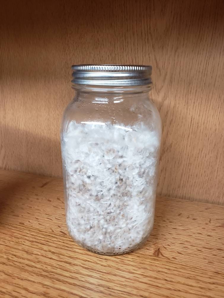 1 Quart of Grain Spawn (1lb.)