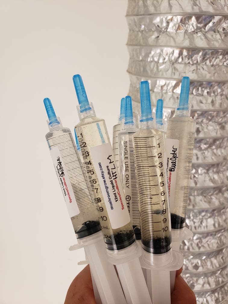 Mushroom Liquid Culture (20+ Kinds) - 12ml