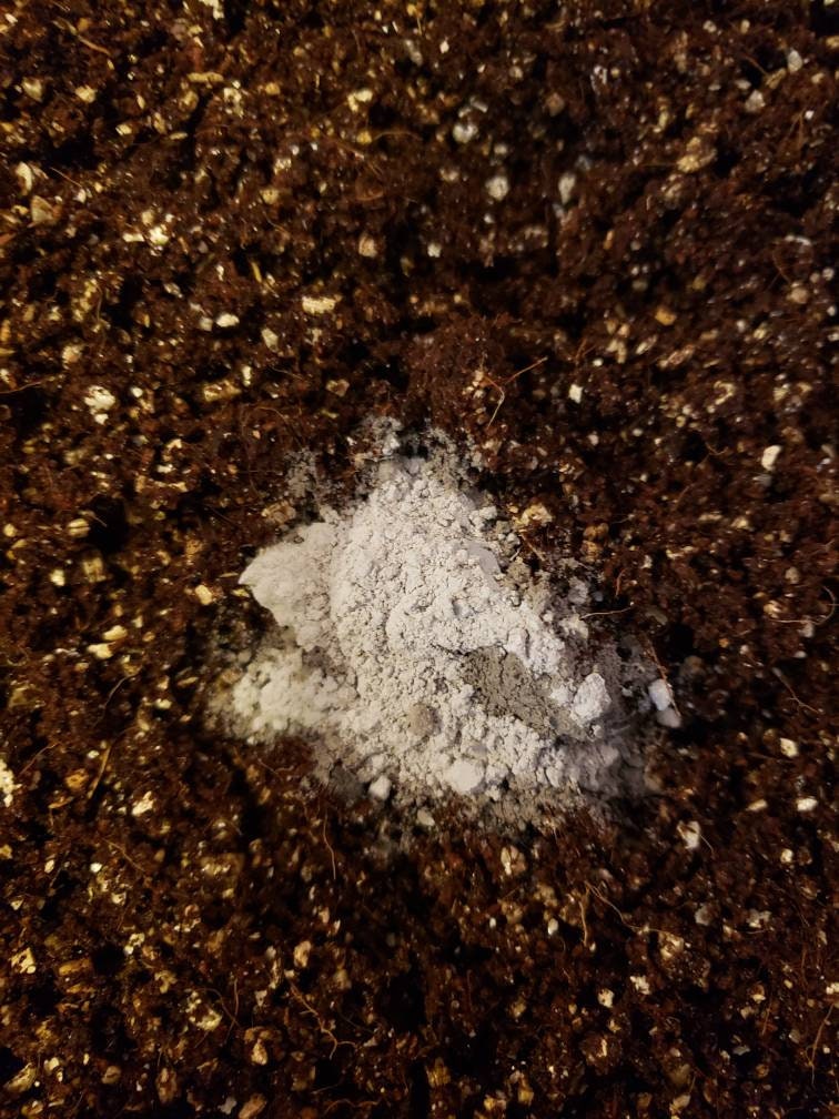 Gypsum for Mushroom Growing - Organic - 1lb