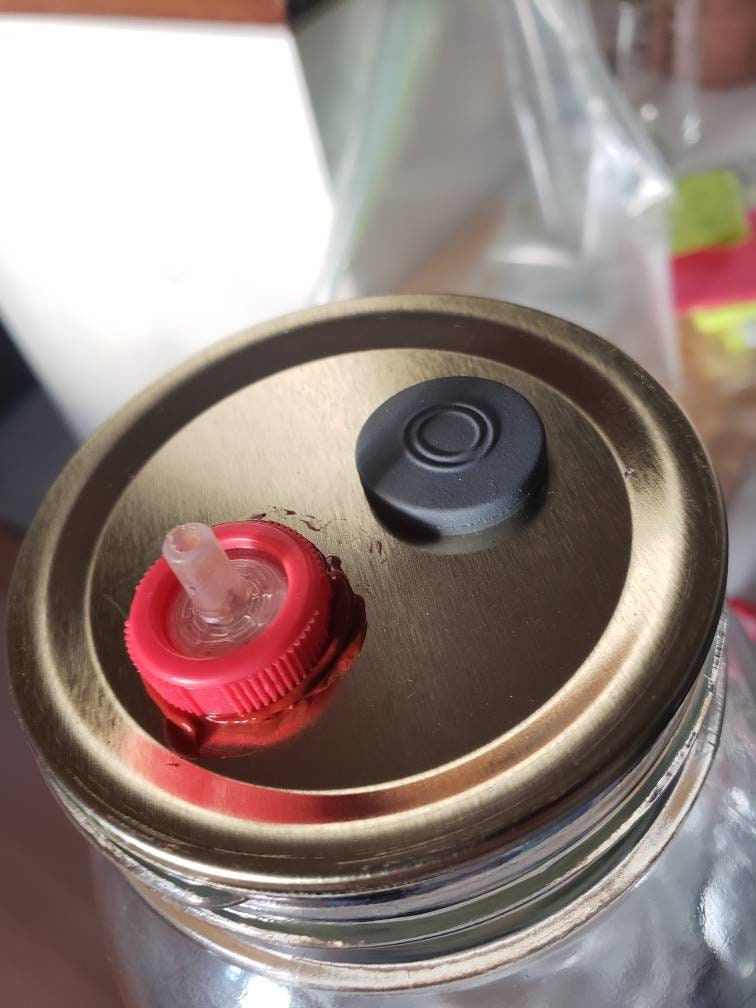 Jar of Sterilized Liquid Culture Base