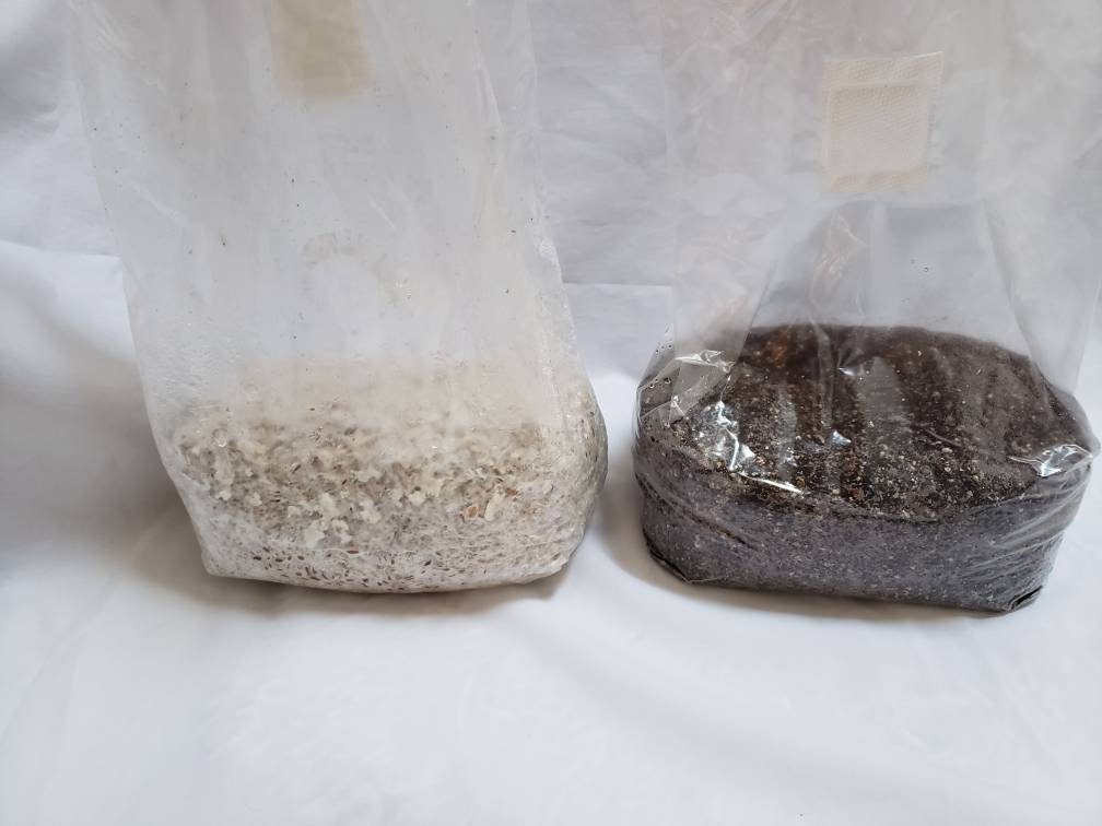 Monotub Kit - Sterile Spawn and Substrate Kit - Just Add Spores