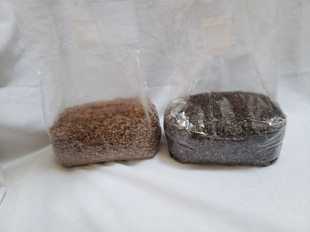 Monotub Kit - Sterile Spawn and Substrate Kit - Just Add Spores