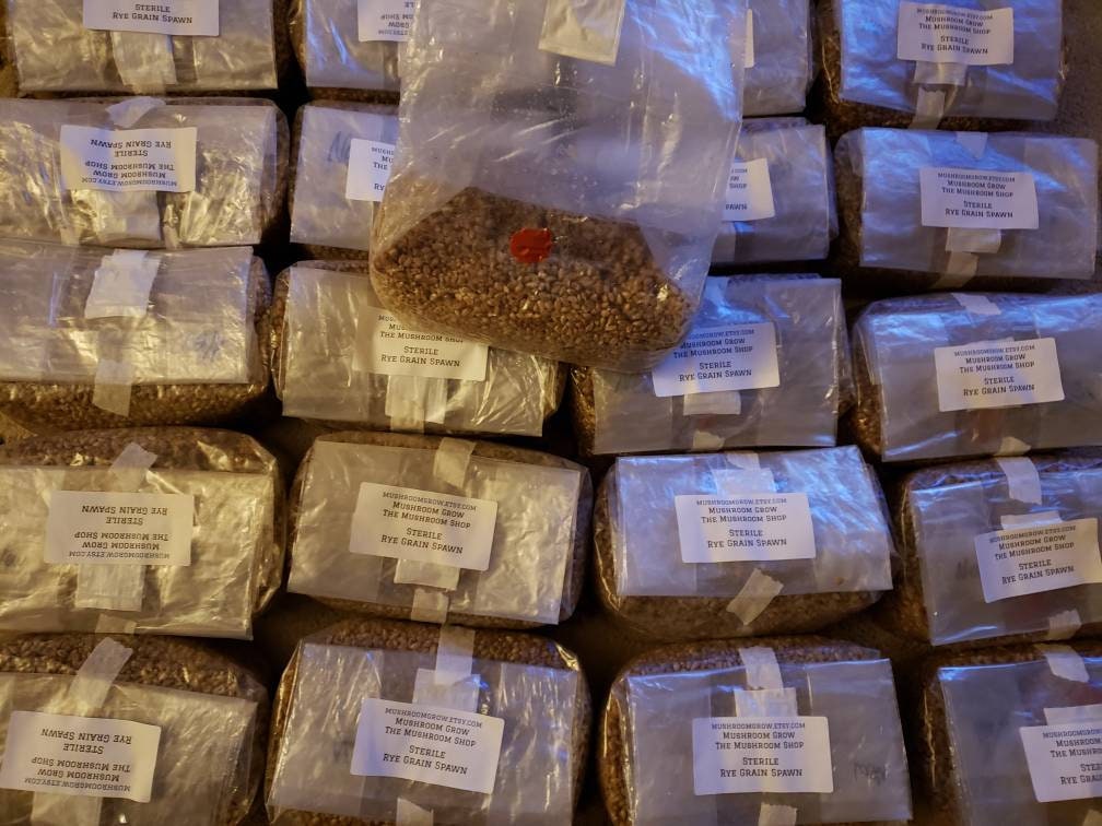 24 Sterile Grain Bags (96lbs total) - Grow Big or Go Home!