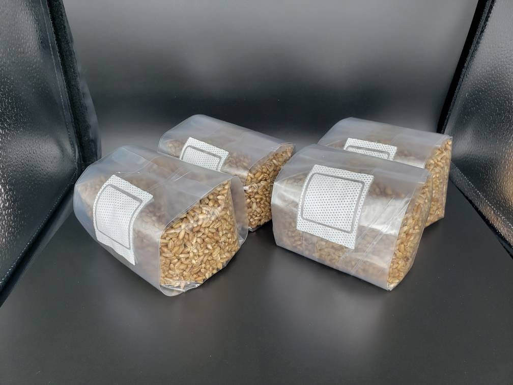 Sterile Grain Bags - 4 Pack - 1lb Per Bag