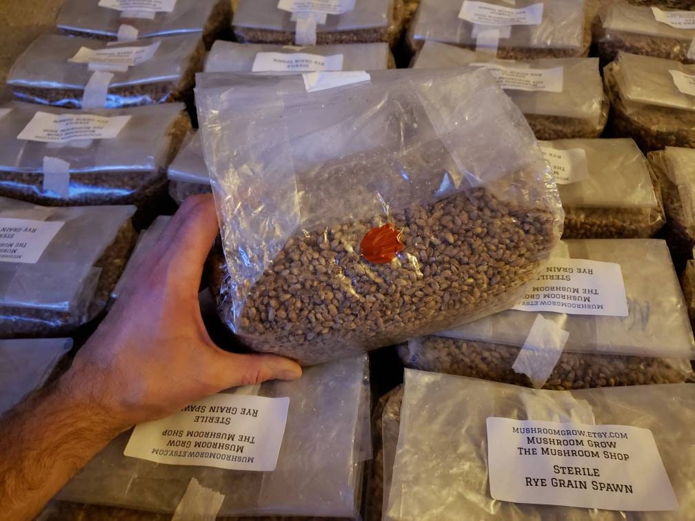 24 Sterile Grain Bags (96lbs total) - Grow Big or Go Home!