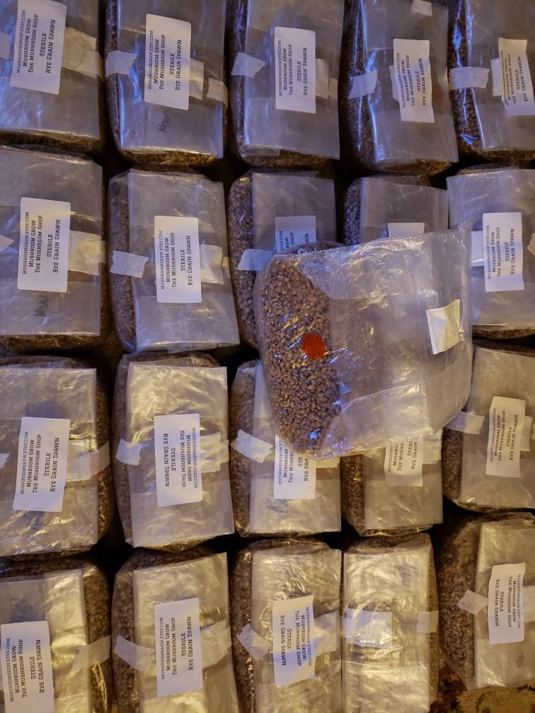 24 Sterile Grain Bags (96lbs total) - Grow Big or Go Home!
