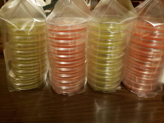 Parafilm for Mycology 10ft.