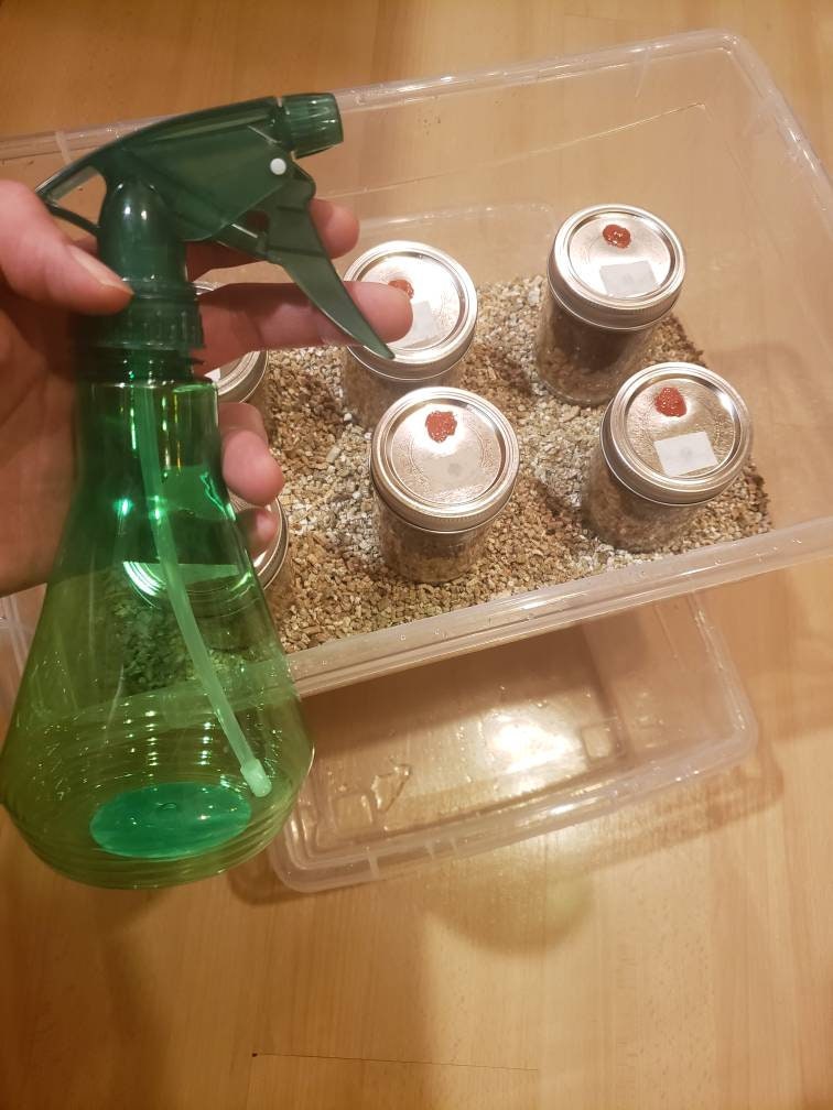 Complete Fruiting Chamber with 6 PF TEK Jars, Sprayer and Vermiculite
