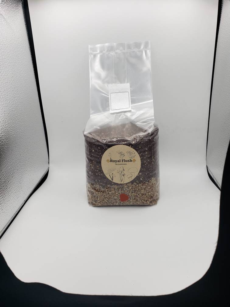 All-In-One Mushroom Grow Bag - Just Add Spores!