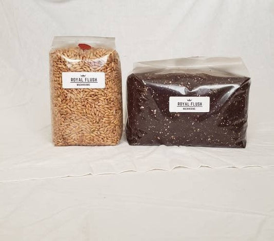 Monotub Kit - Sterile Spawn and Substrate Kit - Just Add Spores