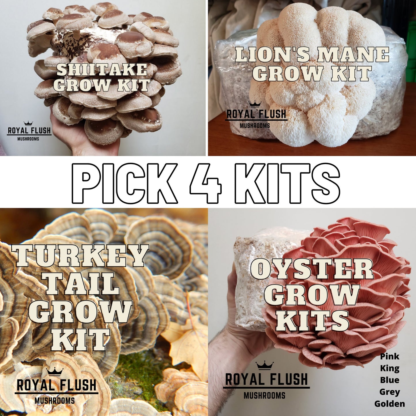 4 Mushroom Grow Kit Bundle - Pick Your 4