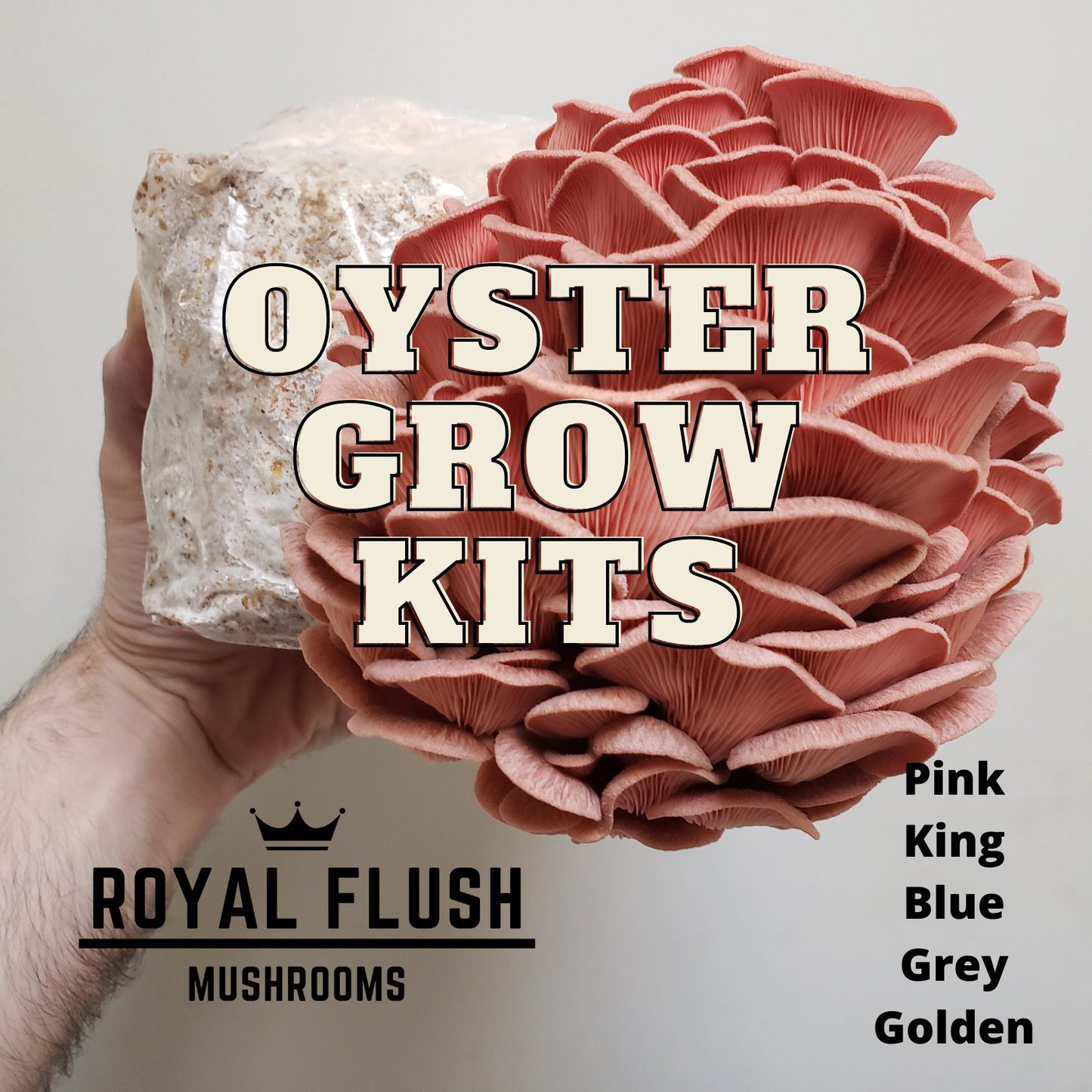 4 Mushroom Grow Kit Bundle - Pick Your 4