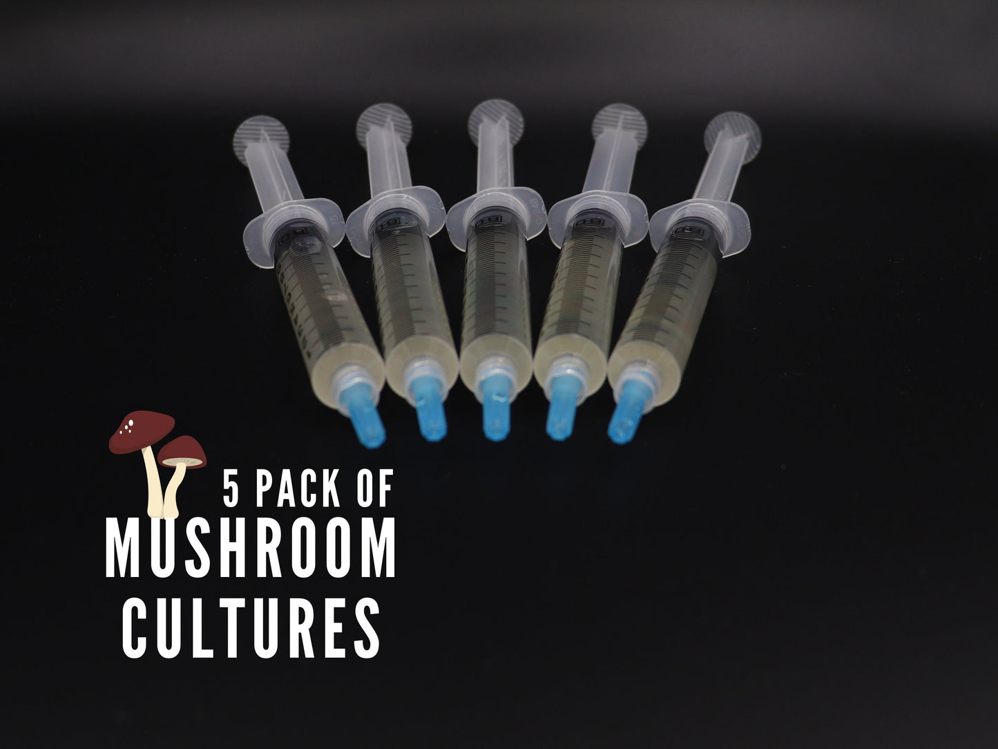 5 Liquid Cultures - Your Choice