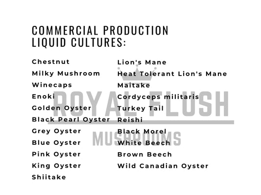 Mushroom Liquid Culture (20+ Kinds) - 12ml