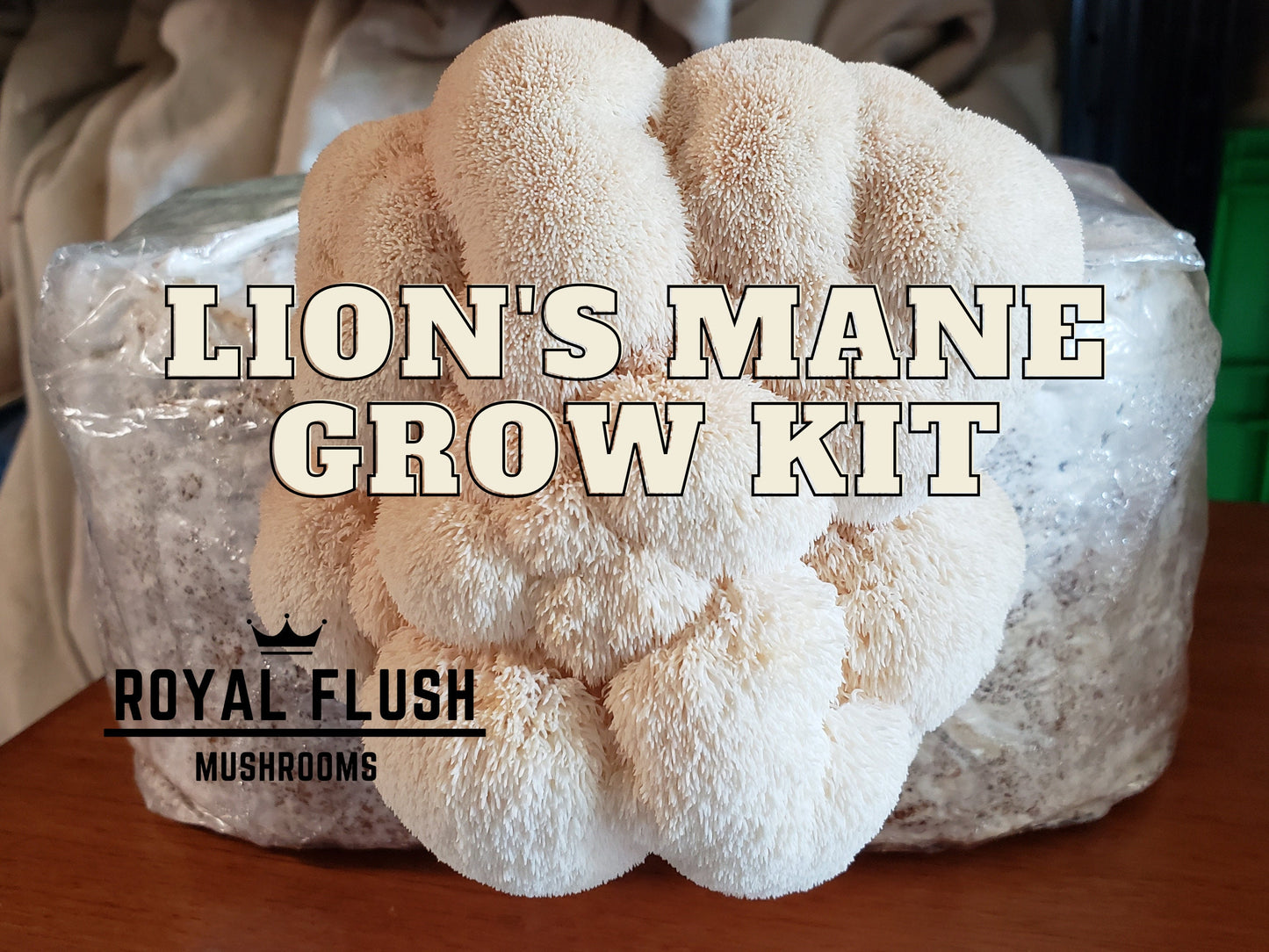 4 Mushroom Grow Kit Bundle - Pick Your 4