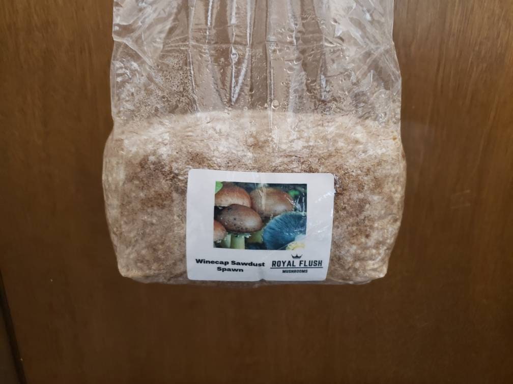 Winecap Garden Grow Kit - 4lb - Easy Outdoor Mushrooms