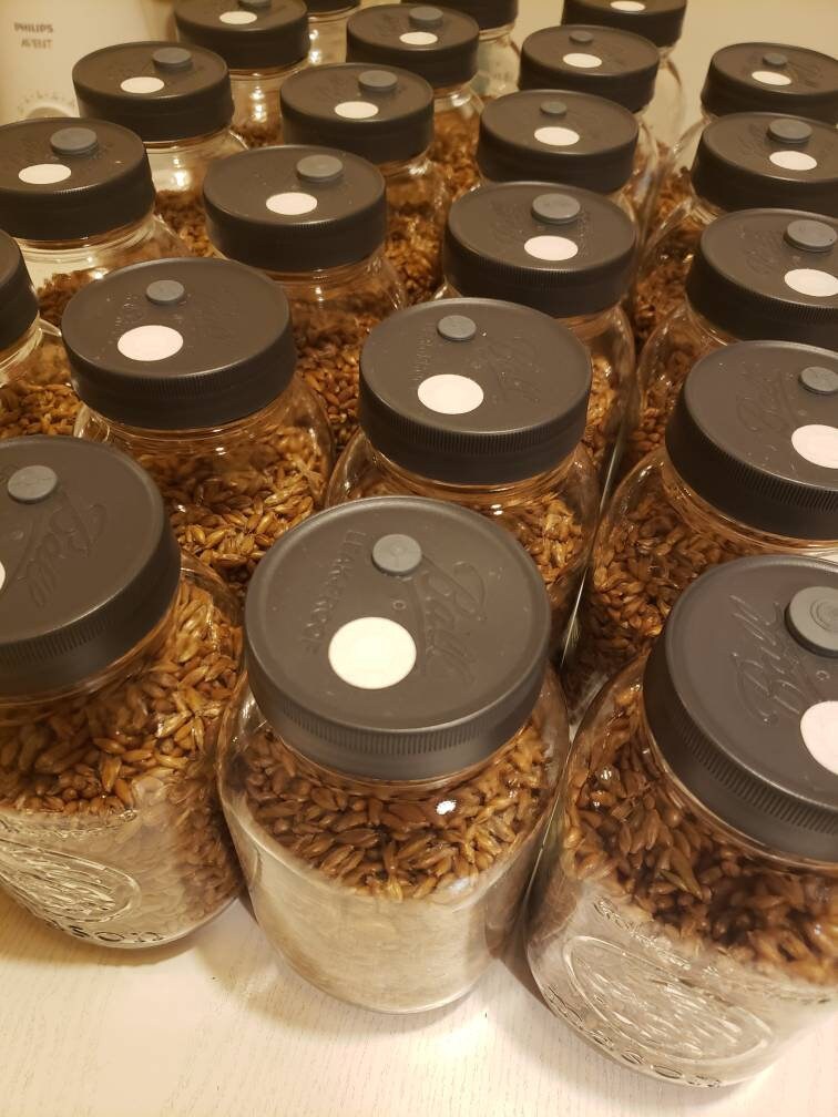 Filter Stickers For Spawn Lids - Free Shipping - Keeps Your Spawn Clean!