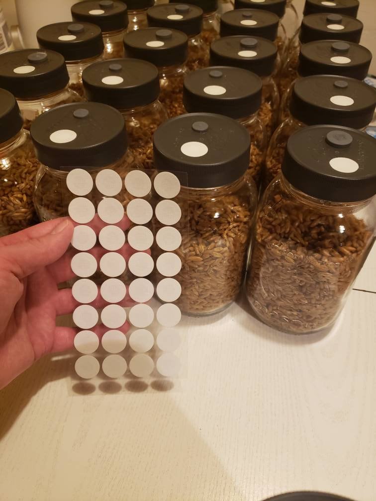 Filter Stickers For Spawn Lids - Free Shipping - Keeps Your Spawn Clean!