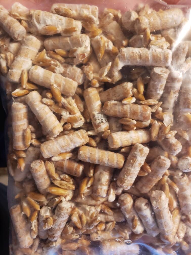 Mushroom Plug Spawn Dowels