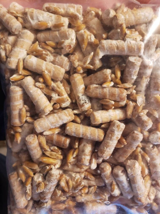 Mushroom Plug Spawn Dowels