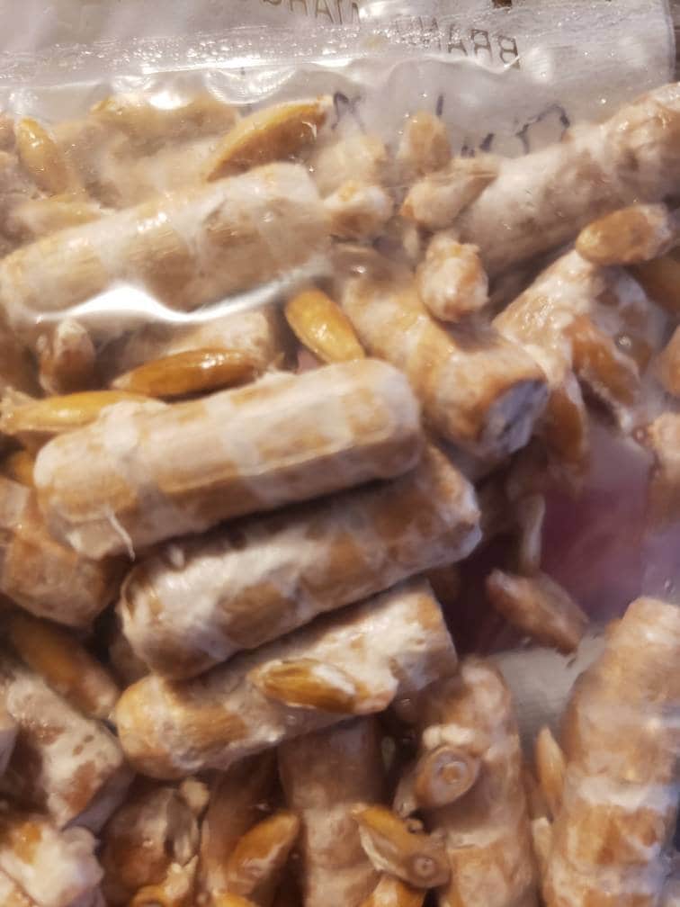 Mushroom Plug Spawn Dowels