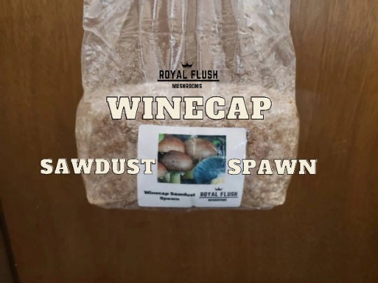 Winecap Garden Grow Kit - 2lb - Easy Outdoor Mushrooms