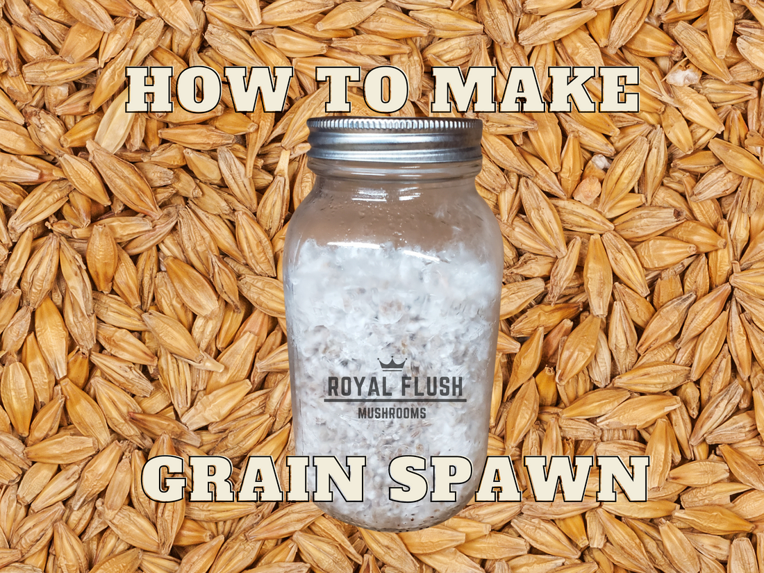 How to Make Grain Spawn: Two Common Ways