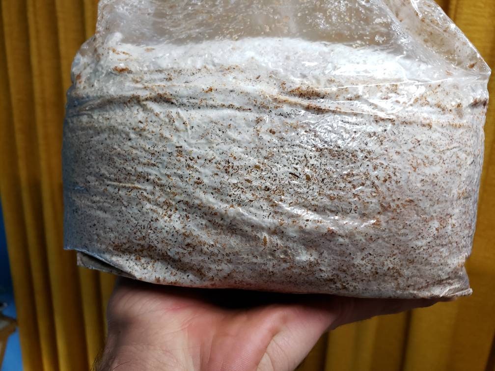 4 Pack Grow Kit Bundle 4lb each (16lb total)