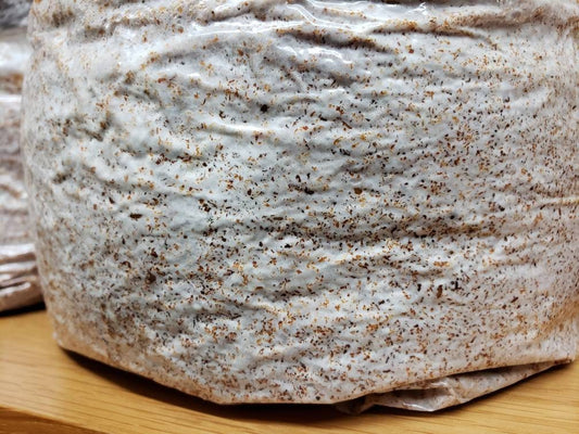 4 Pack Grow Kit Bundle 4lb each (16lb total)