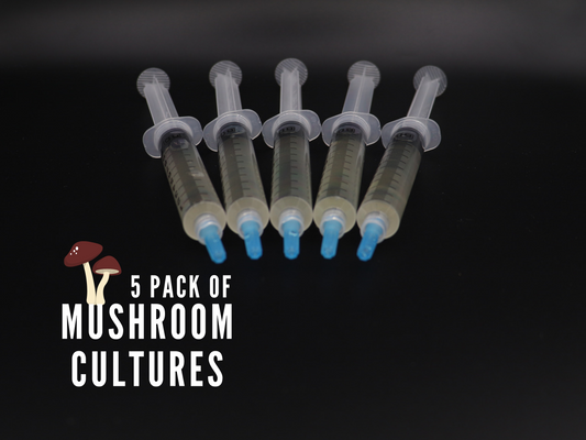 Mushroom Liquid Cultures (20+ Varieties) - 5 Pack