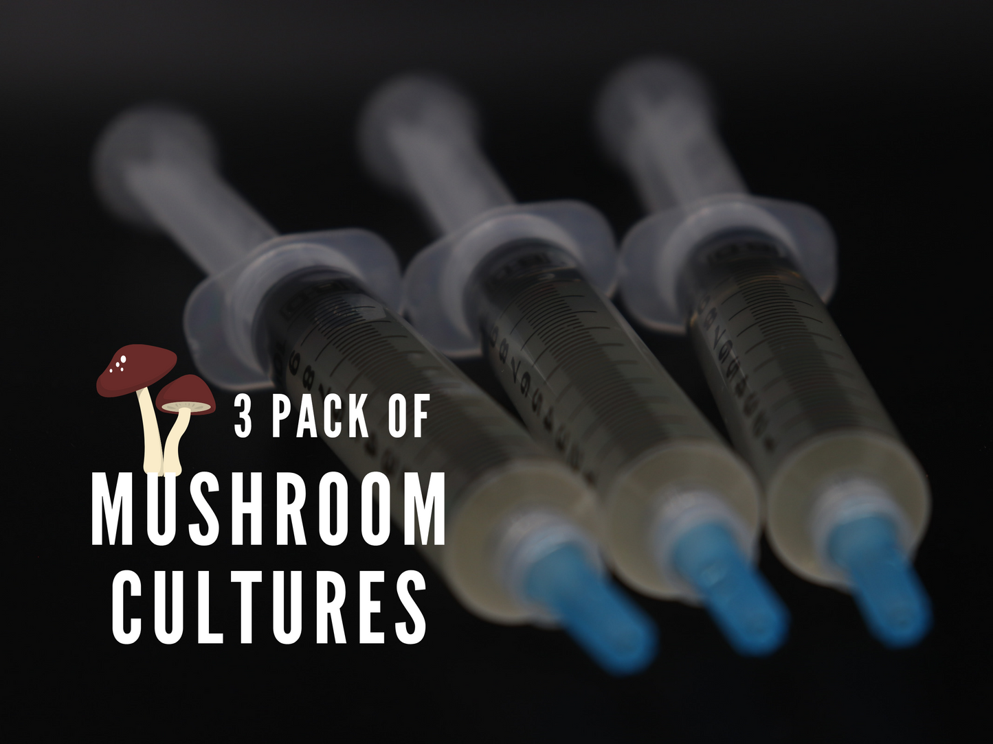 Mushroom Liquid Cultures (20+ Varieties) - 3 Pack