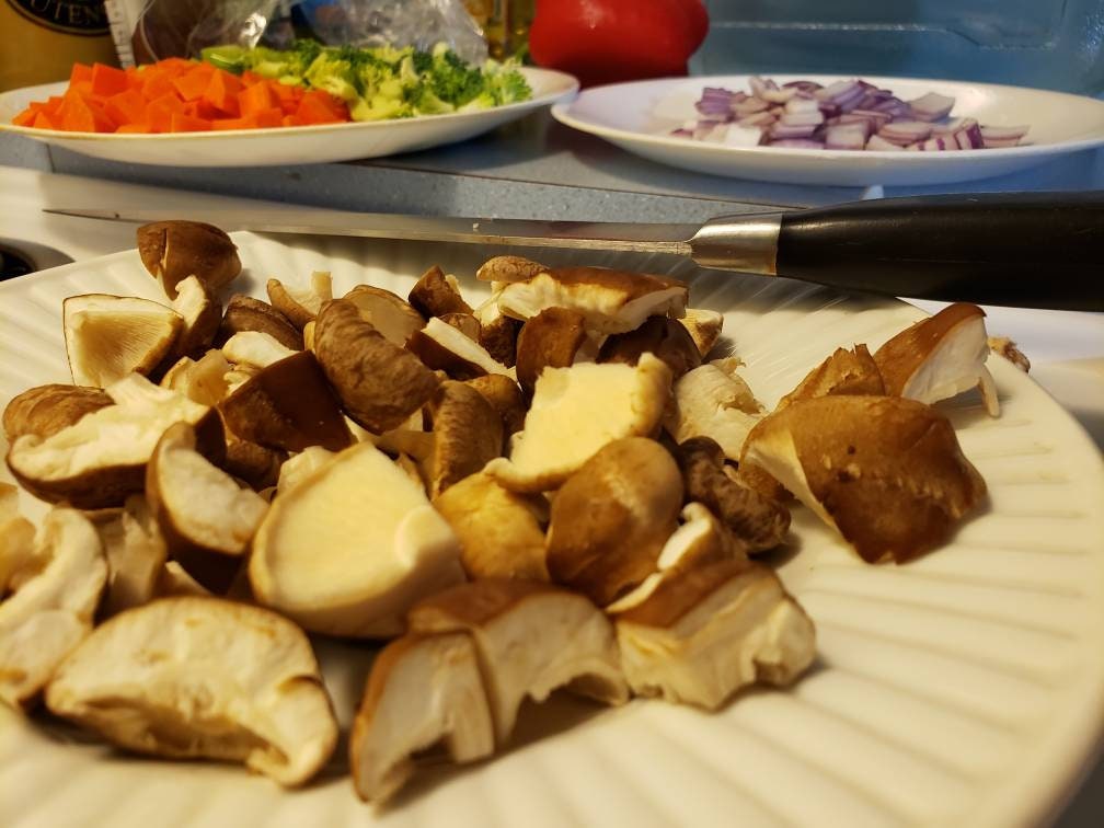 Shiitake Mushroom Home Grow Kit