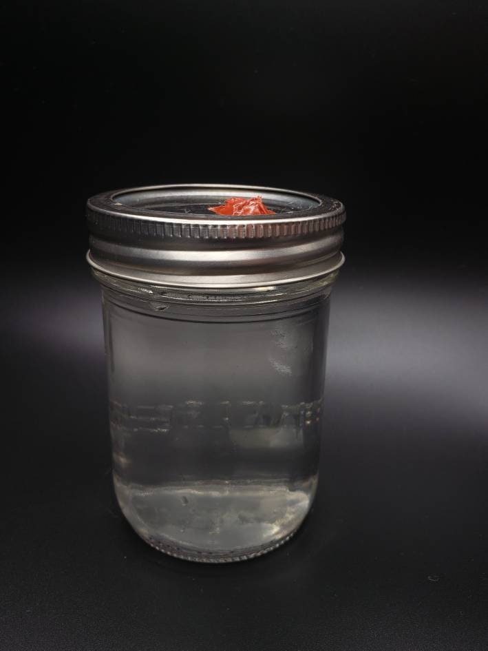Jar of Sterilized Liquid Culture Base