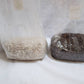 Monotub Kit - Sterile Spawn and Substrate Kit - Just Add Spores