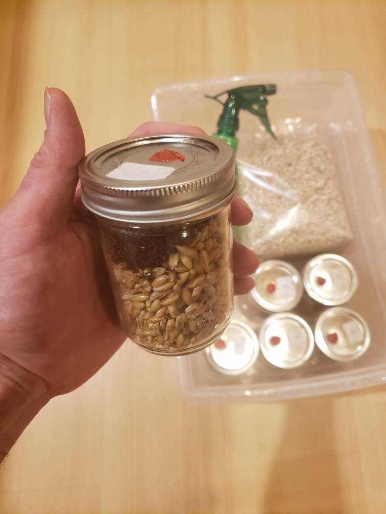 Complete Fruiting Chamber with 6 PF TEK Jars, Sprayer and Vermiculite