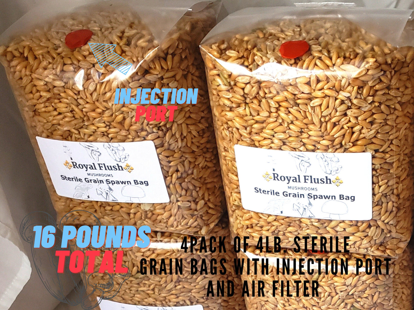4 Sterilized Grain Spawn Bags - 4lbs Per Bag - 16lbs Total