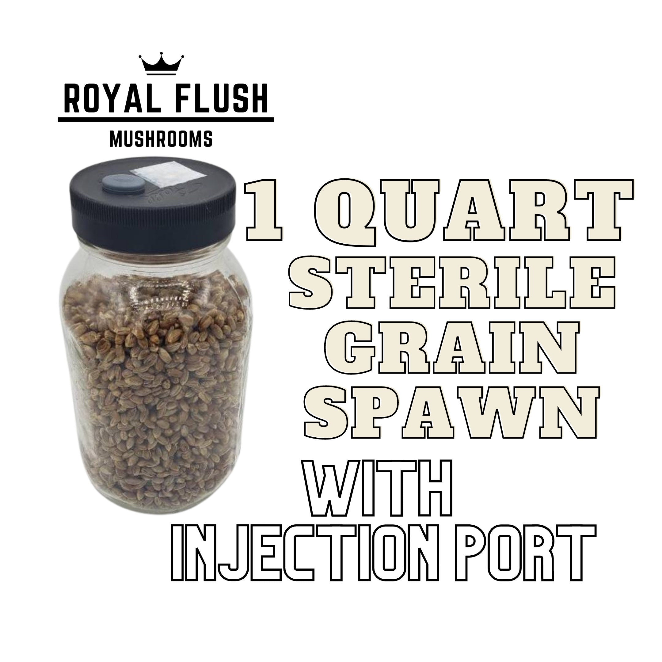 Grain Spawn Jar- With Injection Port – Royal Flush Mushrooms
