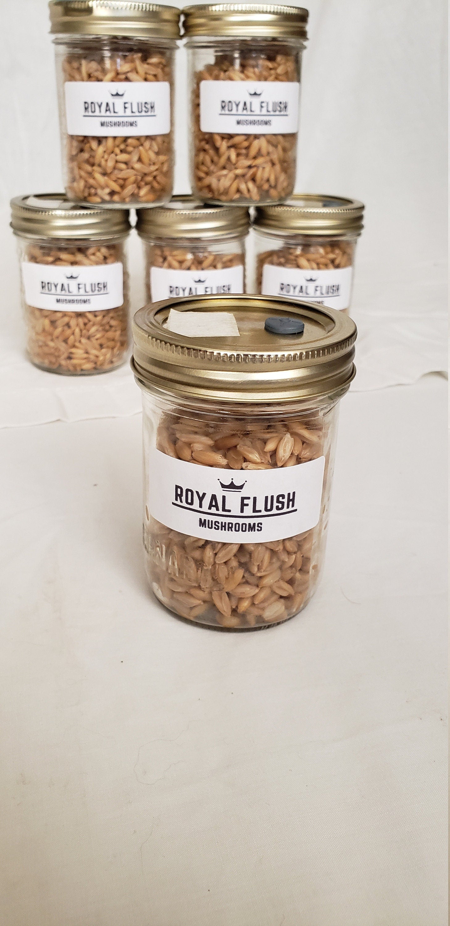 Sterile Spawn Pint Jars With Injection Port and Filter – Royal Flush ...