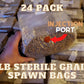 24 Sterile Grain Bags (96lbs total) - Grow Big or Go Home!