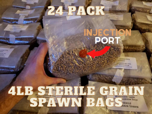 24 Sterile Grain Bags (96lbs total) - Grow Big or Go Home!