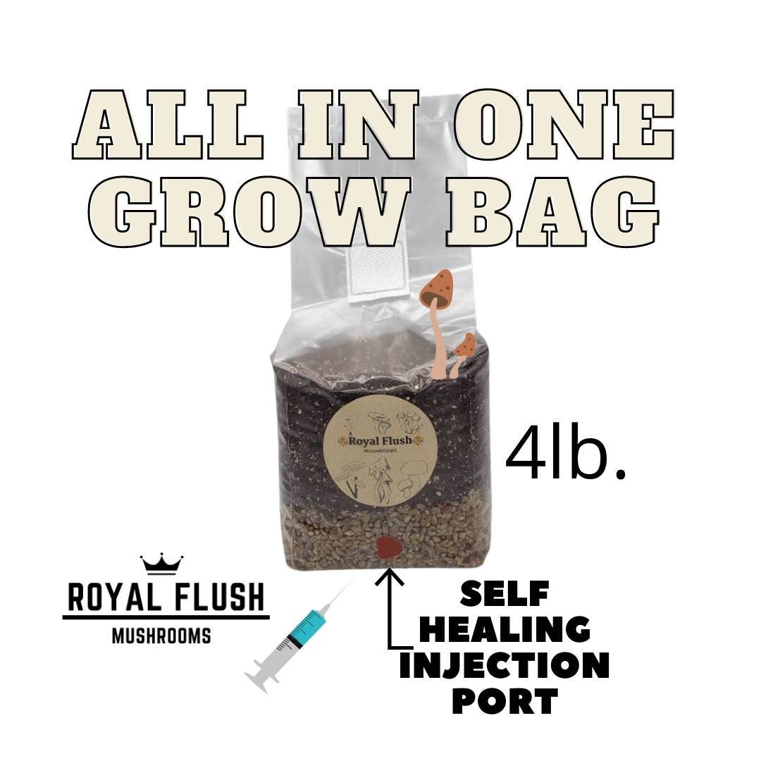 4pack of 4lb. All In One Grow Bags with Injection Ports