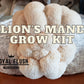 4 Mushroom Grow Kit Bundle - Pick Your 4