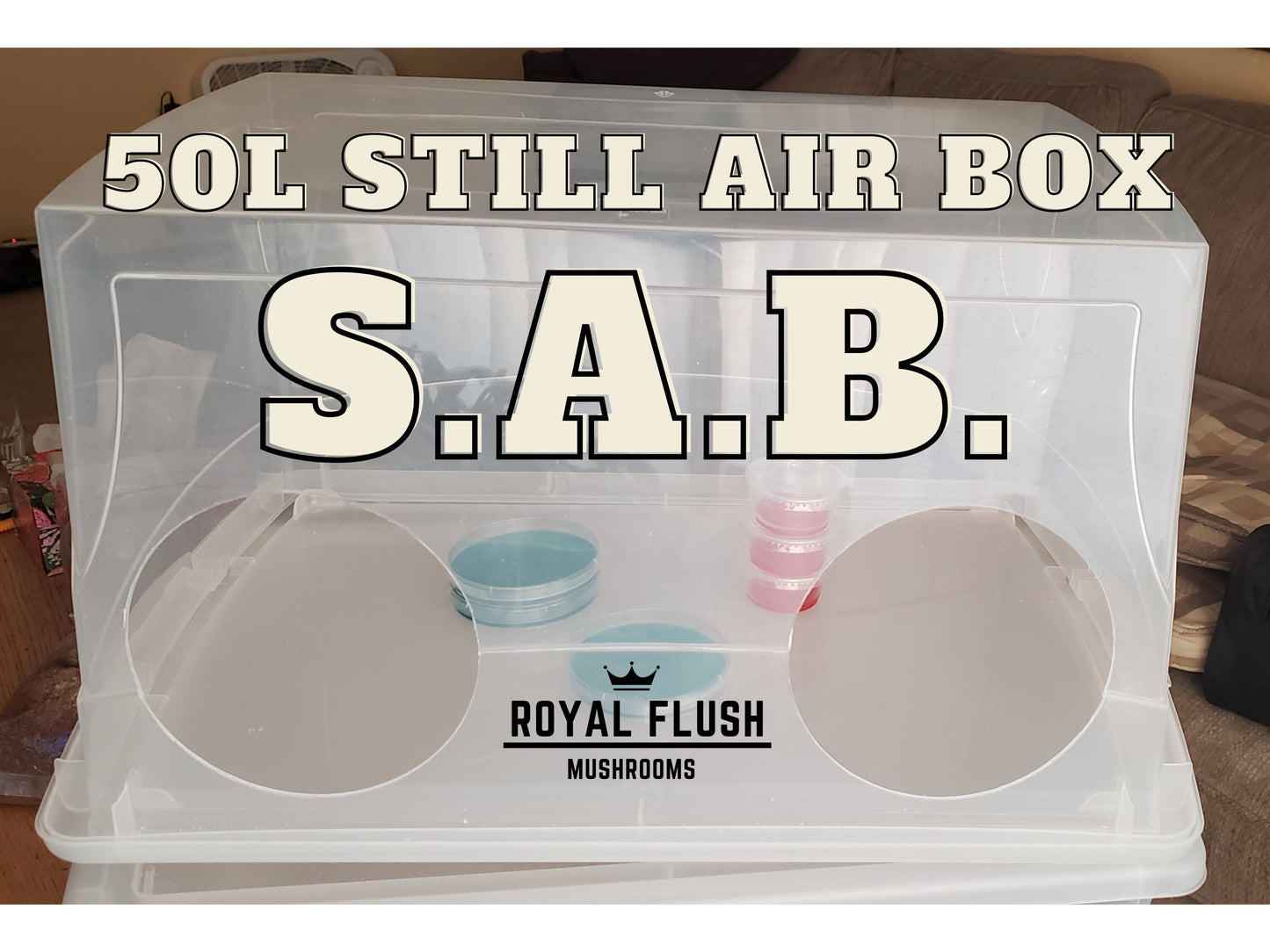 Still Air Box (SAB) 50L- Includes 10 Agar Plates