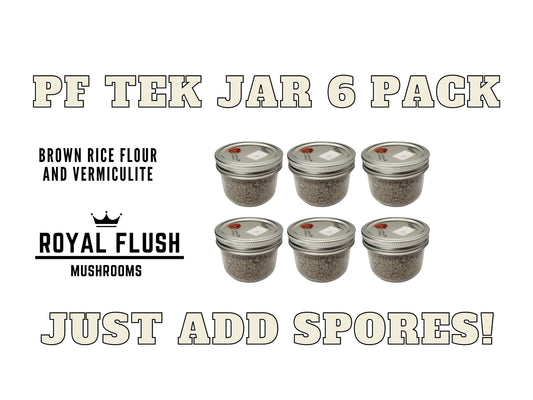 PF Tek Jar- 6 Pack - With Injection Ports and Air Filters