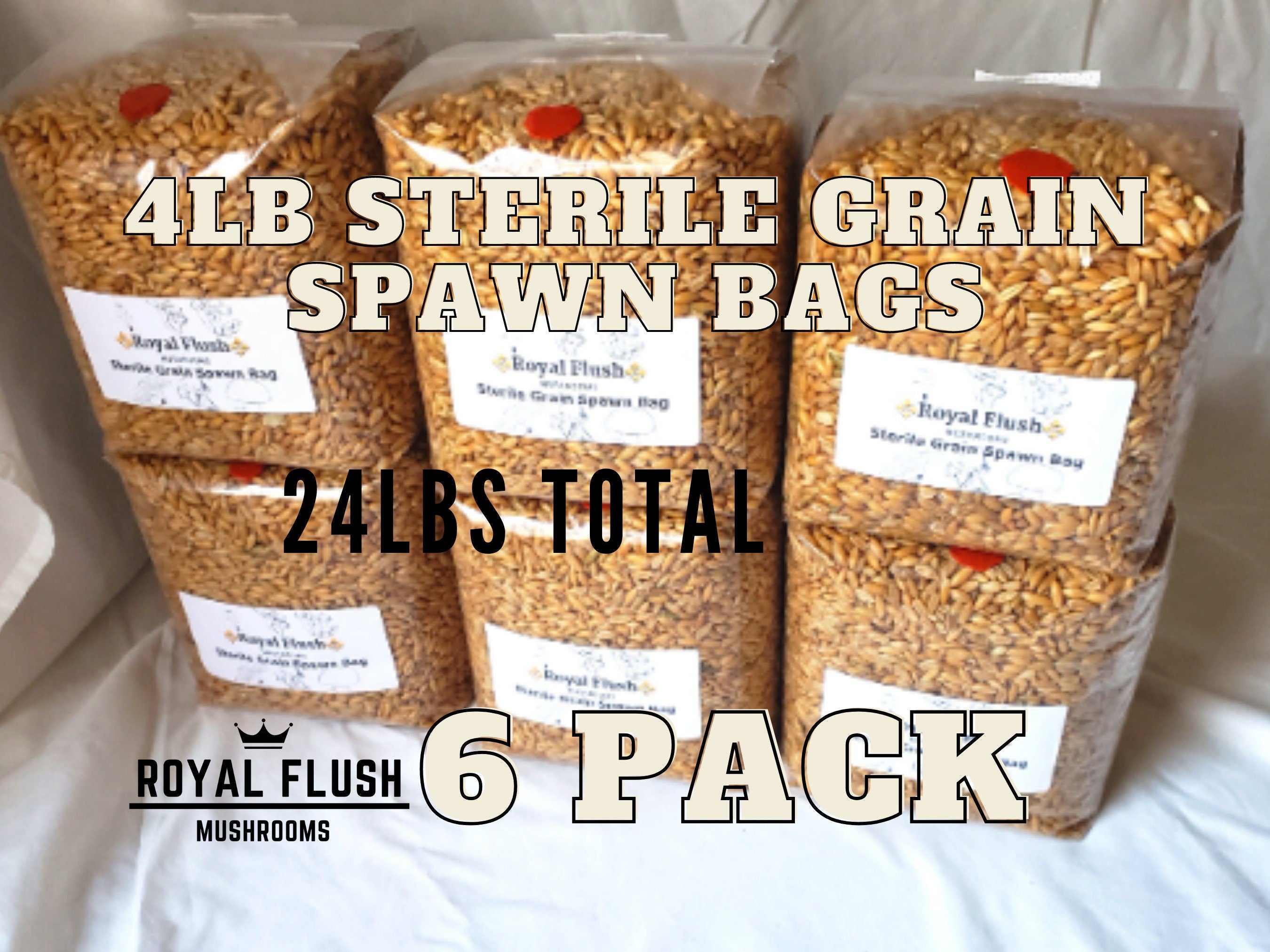 6 Pack of Sterile Grain Spawn Bags with Injection Ports (4lb each bag ...