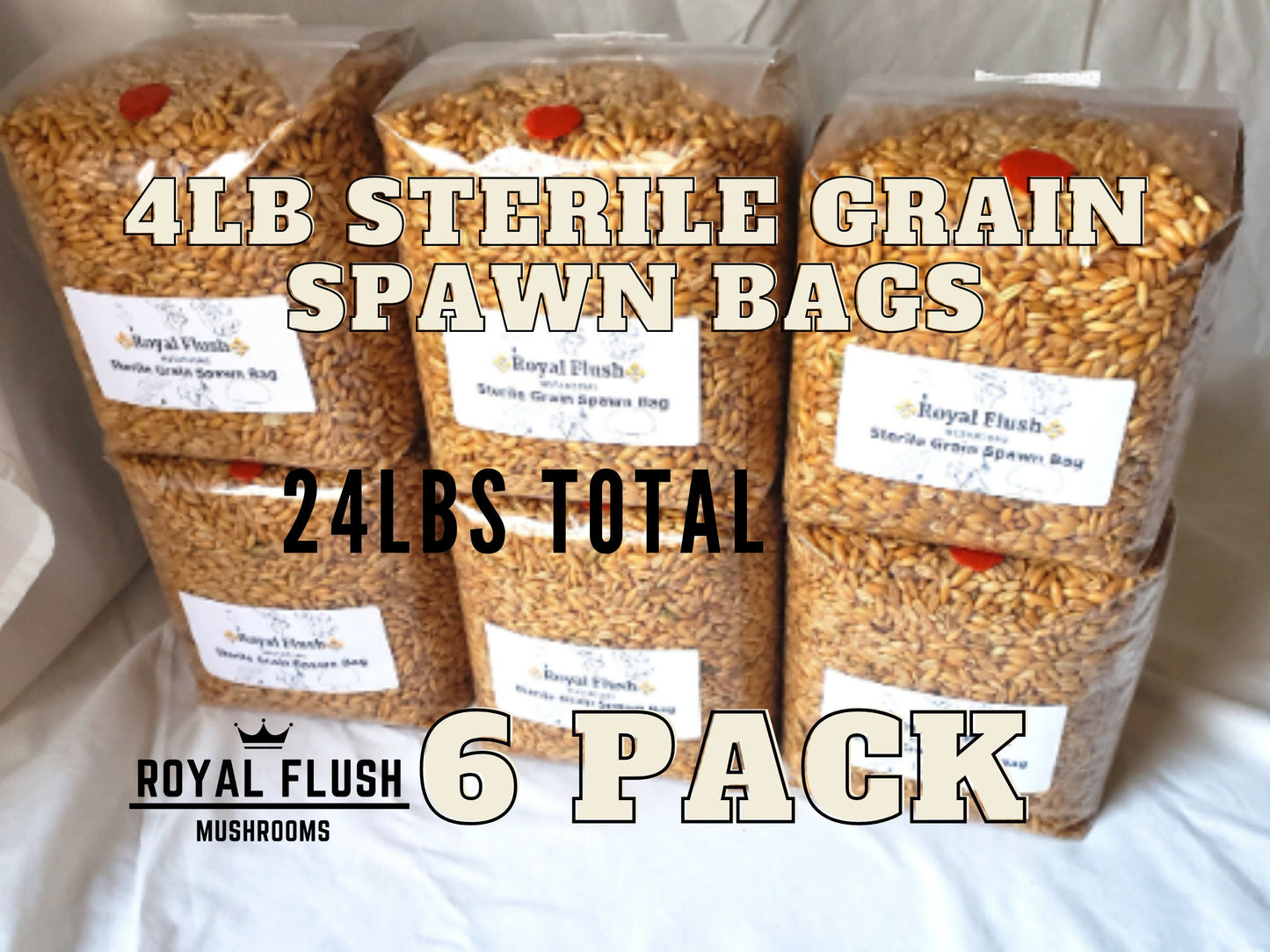 6 Pack of Sterile Grain Spawn Bags with Injection Ports (4lb each bag)