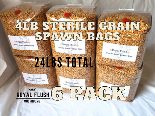 6 Pack of Sterile Grain Spawn Bags with Injection Ports (4lb each bag)