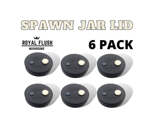 Spawn Jar Lid 6Pack - Autoclavable