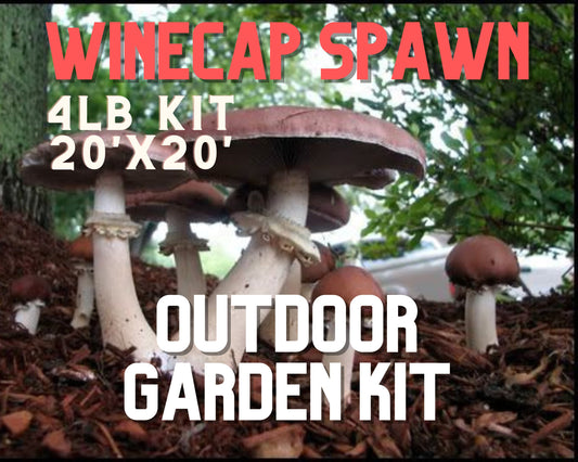 Winecap Garden Grow Kit - 4lb - Easy Outdoor Mushrooms